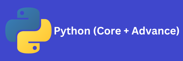 Python Backend rays